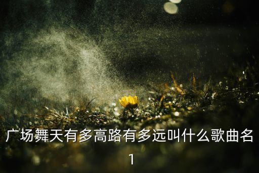 广场舞天有多高路有多远叫什么歌曲名 1