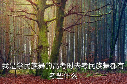 我是学民族舞的高考时去考民族舞都有考些什么