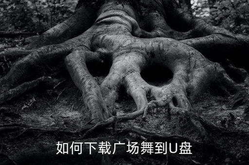 如何下载广场舞到U盘