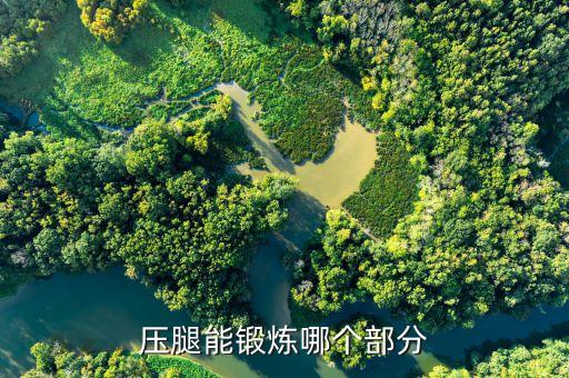 侧压腿练的是什么部位，侧压腿不怎么明白侧压腿的腿部手部以及其它部位的姿势动作