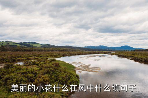 美丽的小花什么在风中什么填句子