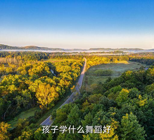 孩子学什么舞蹈好