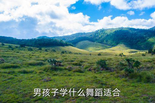 男孩子学什么舞蹈适合