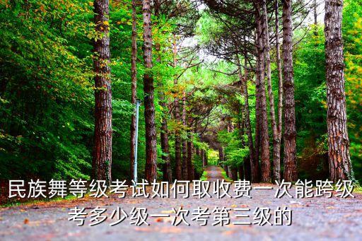 民族舞等级考试如何取收费一次能跨级考多少级一次考第三级的