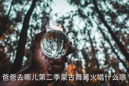 爸爸去哪里了舞蹈，儿童舞蹈 爸爸去哪儿