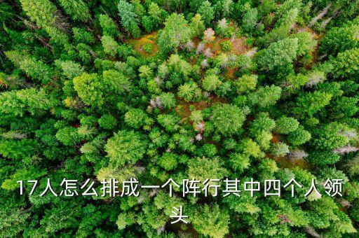 17人怎么排成一个阵行其中四个人领头
