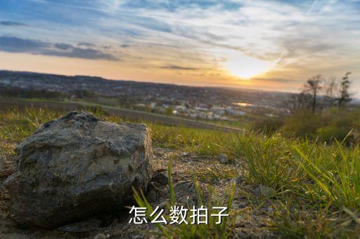 斗牛节拍怎么数，怎样数拍子 拍数怎么分