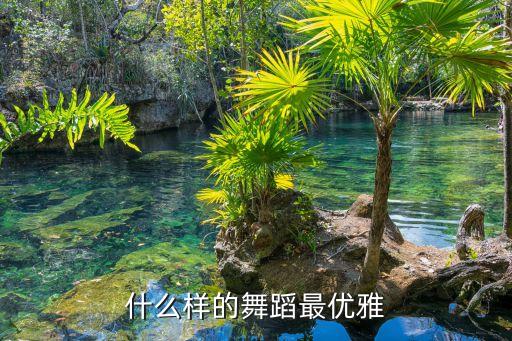 什么样的舞蹈最优雅