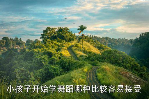小孩子开始学舞蹈哪种比较容易接受