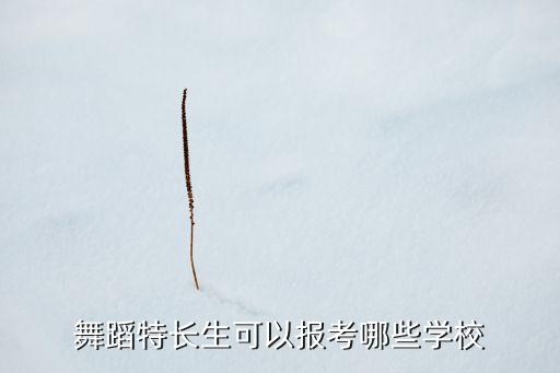 舞蹈特长生可以报考哪些学校