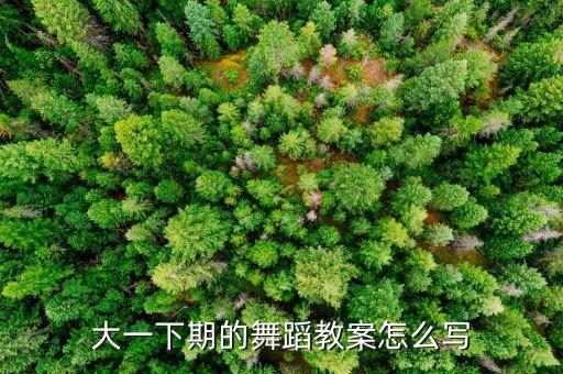 大一下期的舞蹈教案怎么写