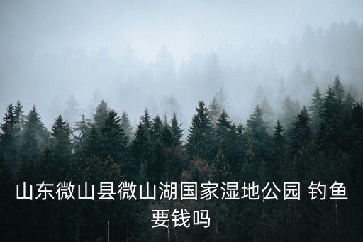 山东微山县微山湖国家湿地公园 钓鱼要钱吗