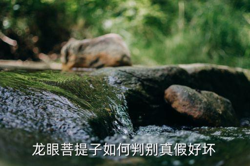 小龙眼菩提怎么辨别，龙眼菩提子如何判别真假好坏
