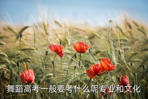 舞蹈高考一般要考什么呢专业和文化