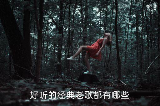 经典老歌500首怀旧歌曲大全，经典老歌500首
