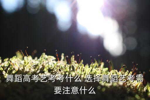 舞蹈高考艺考考什么 选择舞蹈艺考需要注意什么