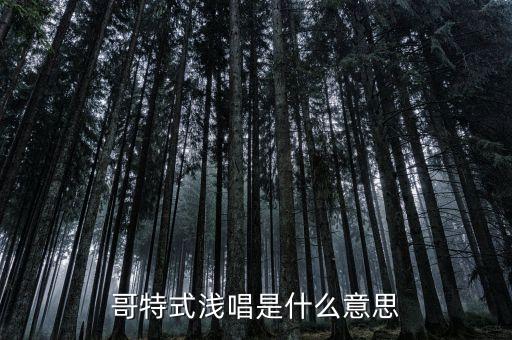 浅唱什么舞，求炫舞的15个名字 前面带有 浅唱