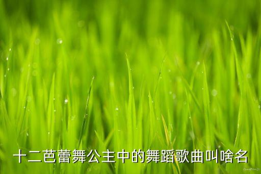 十二芭蕾舞公主中的舞蹈歌曲叫啥名