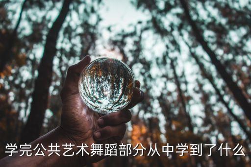 学完公共艺术舞蹈部分从中学到了什么