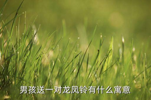男孩送一对龙凤铃有什么寓意