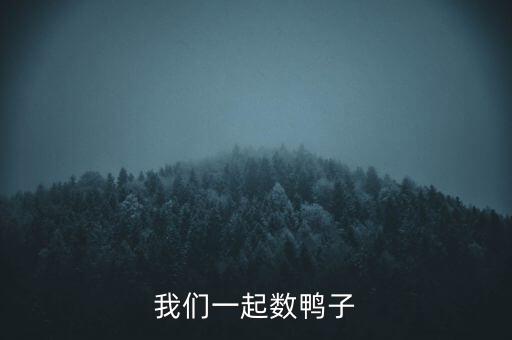 我们一起数鸭子