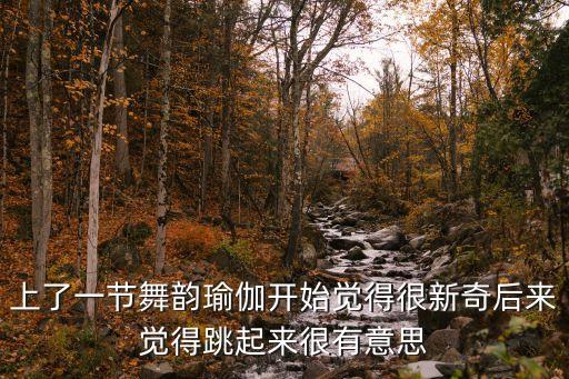 舞韵啥意思是什么意思是什么意思是什么，上了一节舞韵瑜伽开始觉得很新奇后来觉得跳起来很有意思