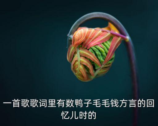 一首歌歌词里有数鸭子毛毛钱方言的回忆儿时的