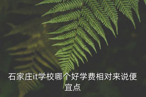 石家庄世纪扬帆学费，石家庄私立幼儿园学费多少