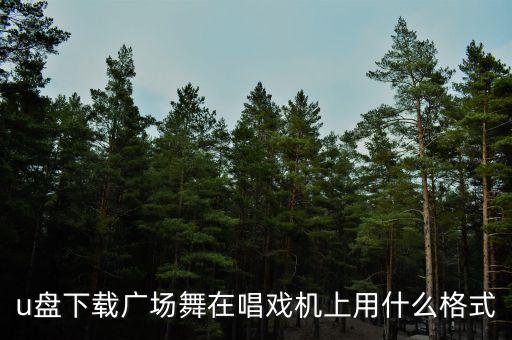 u盘下载广场舞在唱戏机上用什么格式