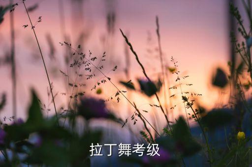拉丁舞考级