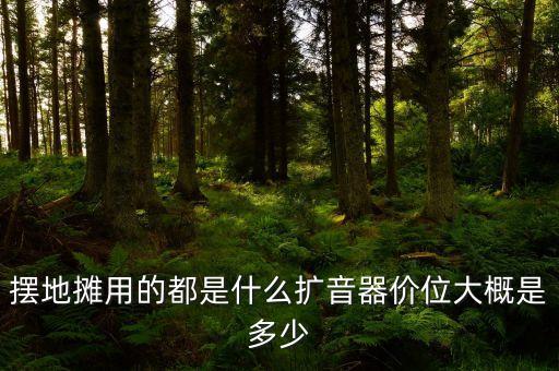 摆地摊用的都是什么扩音器价位大概是多少