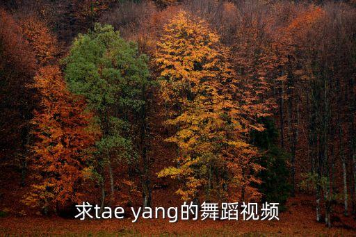求tae yang的舞蹈视频