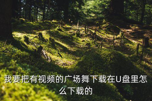 我想广场舞是怎么下载的，从电脑下载广场舞到u盘是怎么下载的