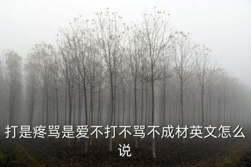 打是疼骂是爱不打不骂不成材英文怎么说