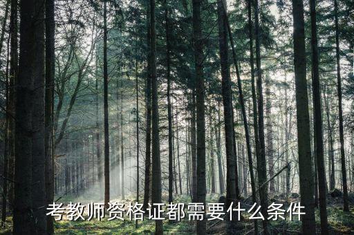 考教师资格证都需要什么条件