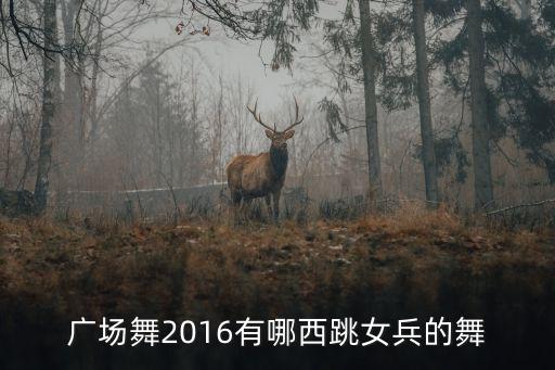 广场舞2016有哪西跳女兵的舞