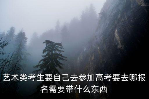 艺术类考生要自己去参加高考要去哪报名需要带什么东西
