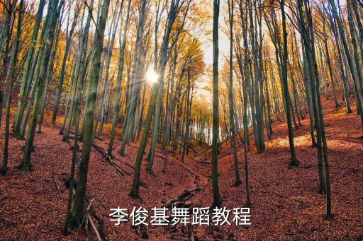 李俊基舞蹈教程