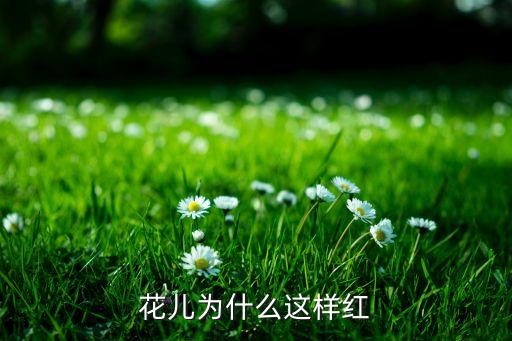 广场舞花儿为什么这样红纯艺舞吧，广场舞花儿为何这样红