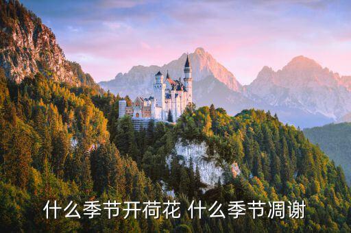 莲花是什么时候谢，荷花什么时候凋谢