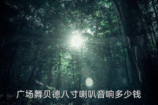 广场舞贝德八寸喇叭音响多少钱
