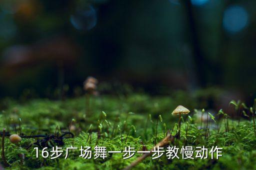 16步广场舞一步一步教慢动作