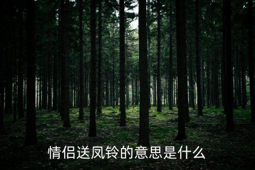 凤铃什么意思，男孩送一对龙凤铃有什么寓意