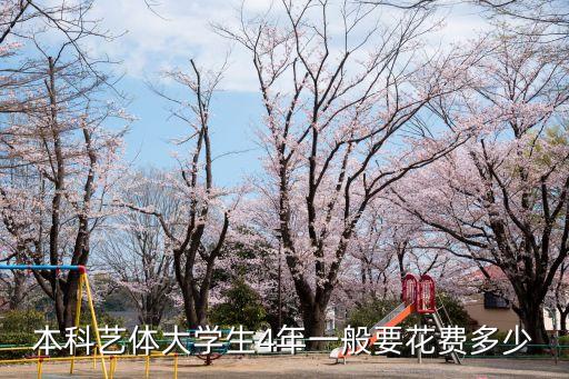 本科艺体大学生4年一般要花费多少
