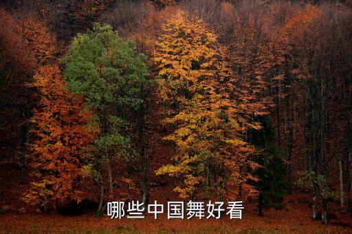 哪些中国舞好看