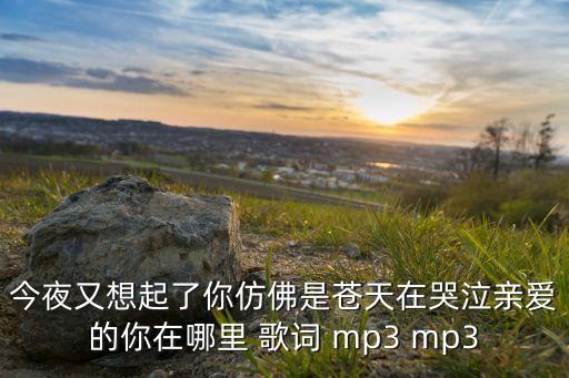 今夜又想起了你仿佛是苍天在哭泣亲爱的你在哪里 歌词 mp3 mp3