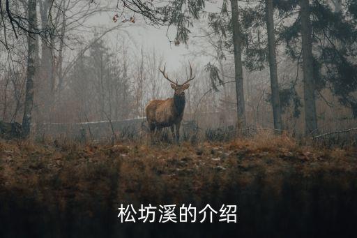 松坊溪的介绍
