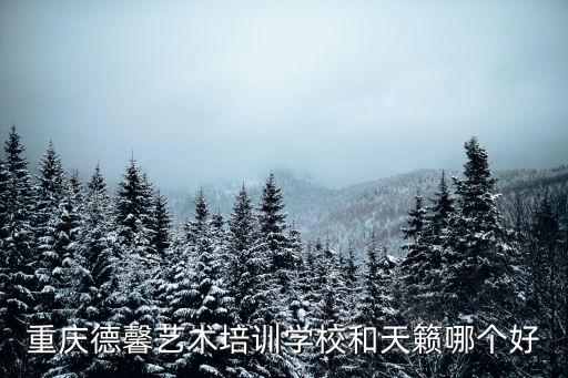 天籁艺术学校是大学还是中学，谁知道重庆天籁艺术培训学校好不好适合我读不