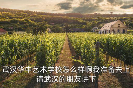武汉华中艺术学校怎么样啊我准备去上请武汉的朋友讲下