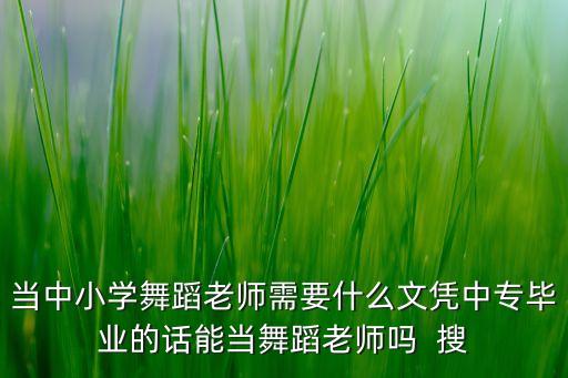 当中小学舞蹈老师需要什么文凭中专毕业的话能当舞蹈老师吗  搜